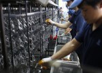 Japan’s CSPI 3.6% vs. 3.6% forecast