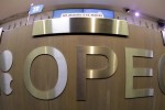 OPEC oil output rises in January as key members stand firm: survey