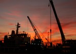 Oil prices fall sharply amid record inventories
