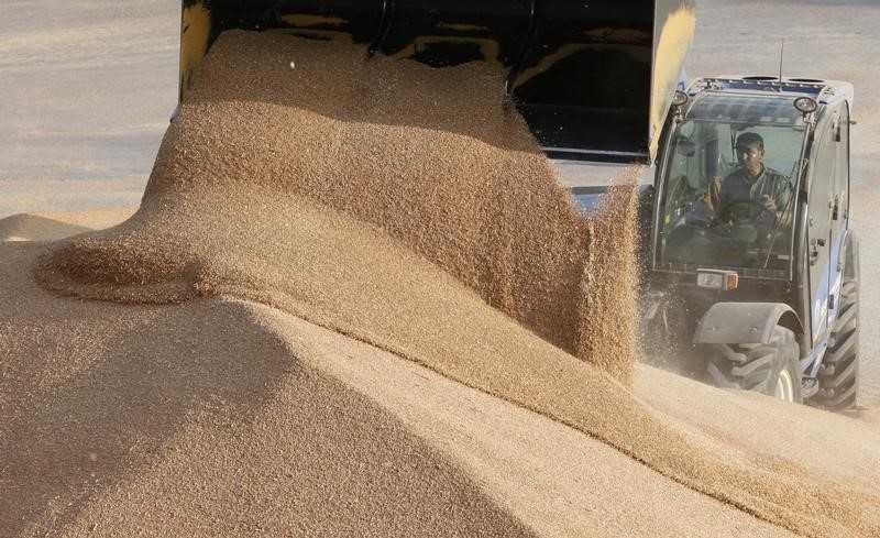 مصادر: قمح مبيع لمصر معلق بموانيء روسية قبيل فرض ضريبة جديدة